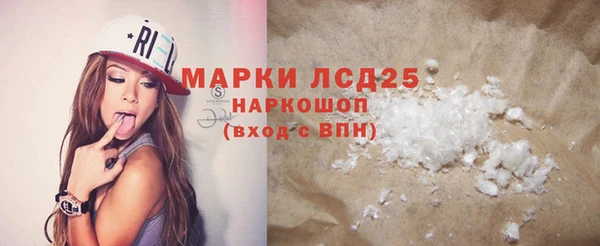 молекула духа Бородино