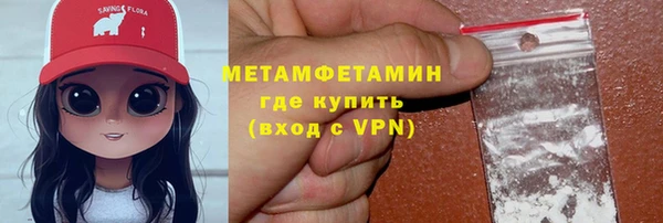 прущие грибы Бронницы