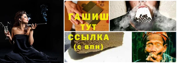 прущие грибы Бронницы