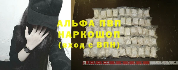 прущие грибы Бронницы