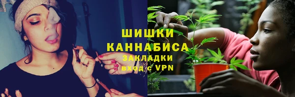 прущие грибы Бронницы