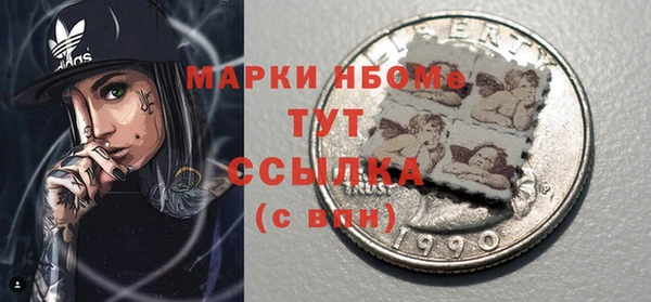 молекула духа Бородино