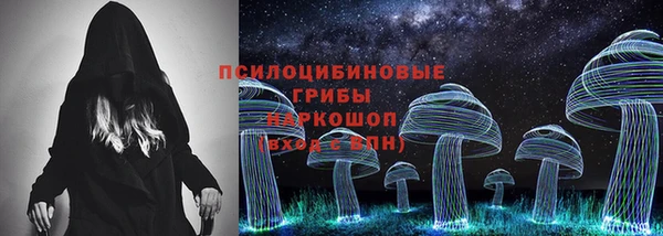 молекула духа Бородино
