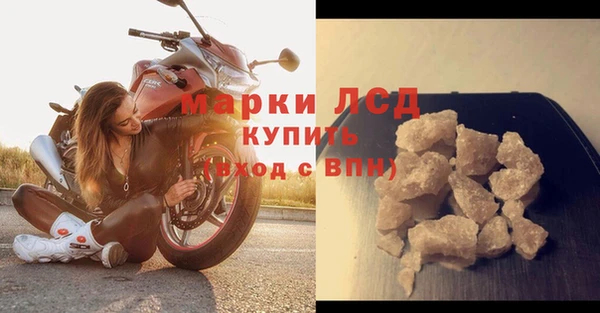 прущие грибы Бронницы