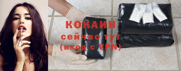 молекула духа Бородино