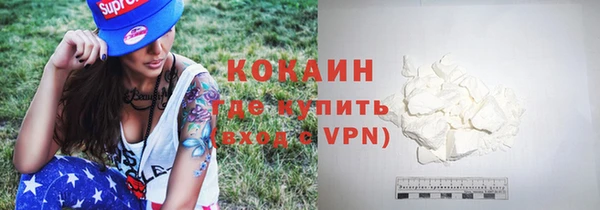 прущие грибы Бронницы
